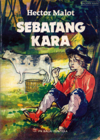 Image of Sebatang Kara= Nobody's Boy